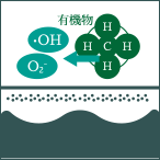 菌やウイルス等の有機物から生命維持に必要なC(炭素)やH(水素)を奪い分解を始めます。